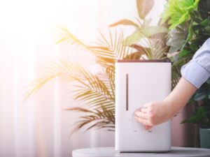 Air Purifiers